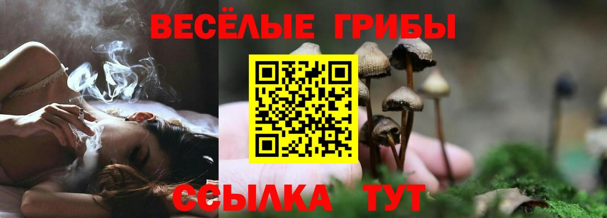 Норильск  Псилоцибиновые грибы MAGIC MUSHROOMS  Псилоцибиновые грибы Psilocybe  Вход с VPN 